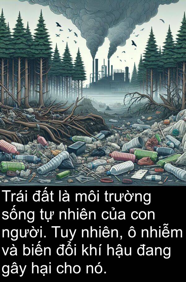 môi: Trái đất là môi trường sống tự nhiên của con người. Tuy nhiên, ô nhiễm và biến đổi khí hậu đang gây hại cho nó.