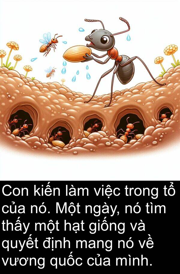 giống: Con kiến làm việc trong tổ của nó. Một ngày, nó tìm thấy một hạt giống và quyết định mang nó về vương quốc của mình.