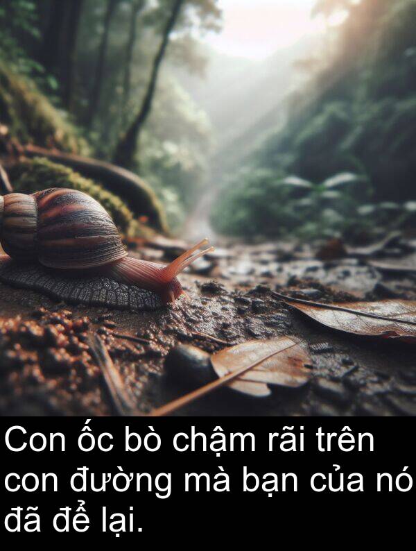 lại: Con ốc bò chậm rãi trên con đường mà bạn của nó đã để lại.