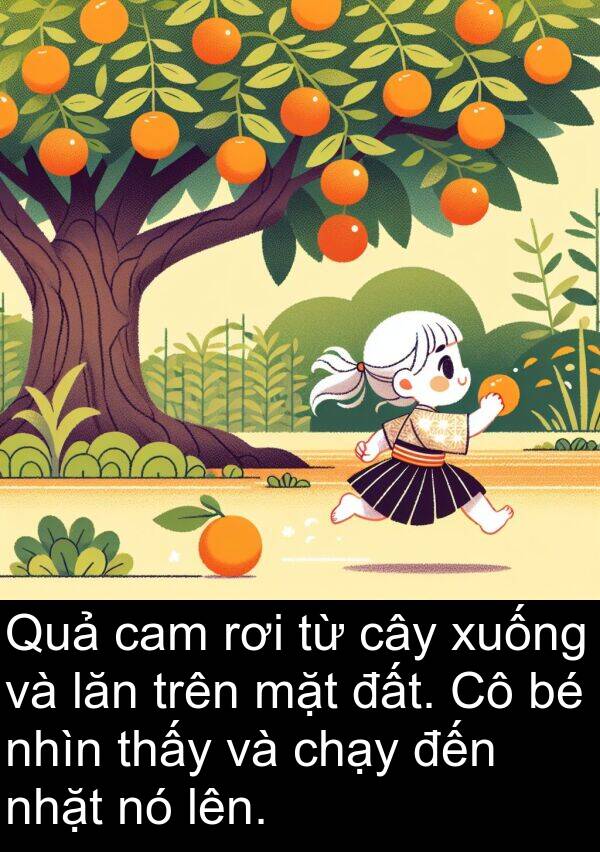 xuống: Quả cam rơi từ cây xuống và lăn trên mặt đất. Cô bé nhìn thấy và chạy đến nhặt nó lên.