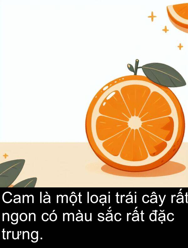 loại: Cam là một loại trái cây rất ngon có màu sắc rất đặc trưng.