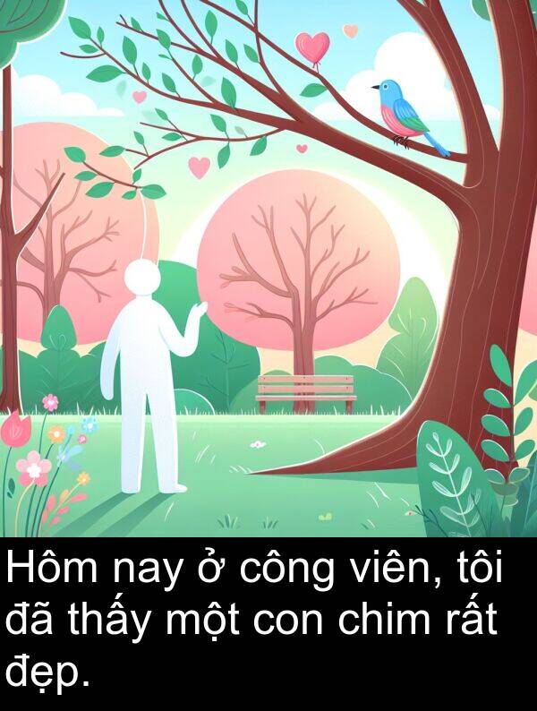 công: Hôm nay ở công viên, tôi đã thấy một con chim rất đẹp.