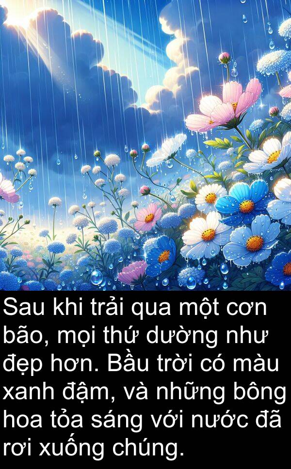 cơn: Sau khi trải qua một cơn bão, mọi thứ dường như đẹp hơn. Bầu trời có màu xanh đậm, và những bông hoa tỏa sáng với nước đã rơi xuống chúng.