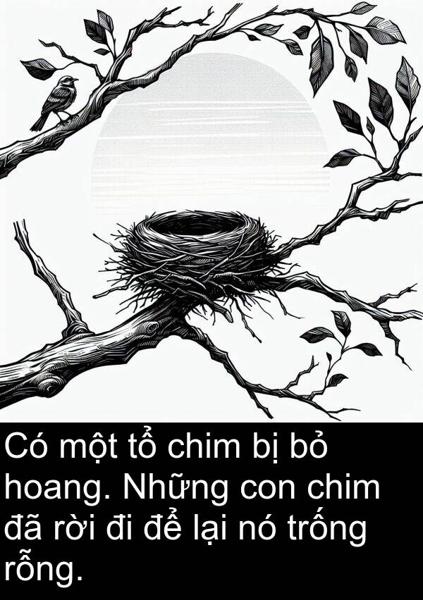 trống: Có một tổ chim bị bỏ hoang. Những con chim đã rời đi để lại nó trống rỗng.