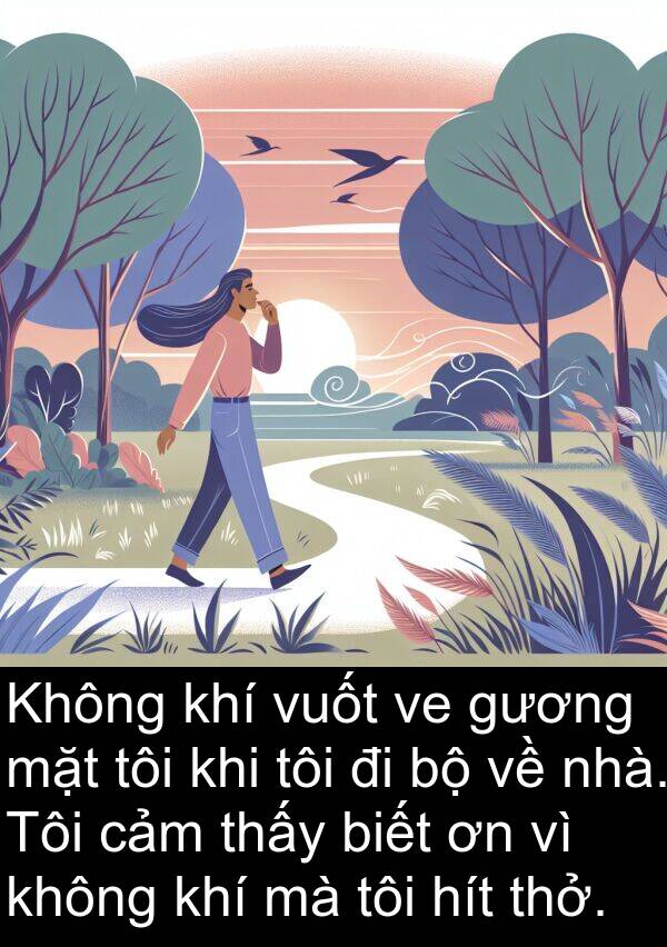 thở: Không khí vuốt ve gương mặt tôi khi tôi đi bộ về nhà. Tôi cảm thấy biết ơn vì không khí mà tôi hít thở.