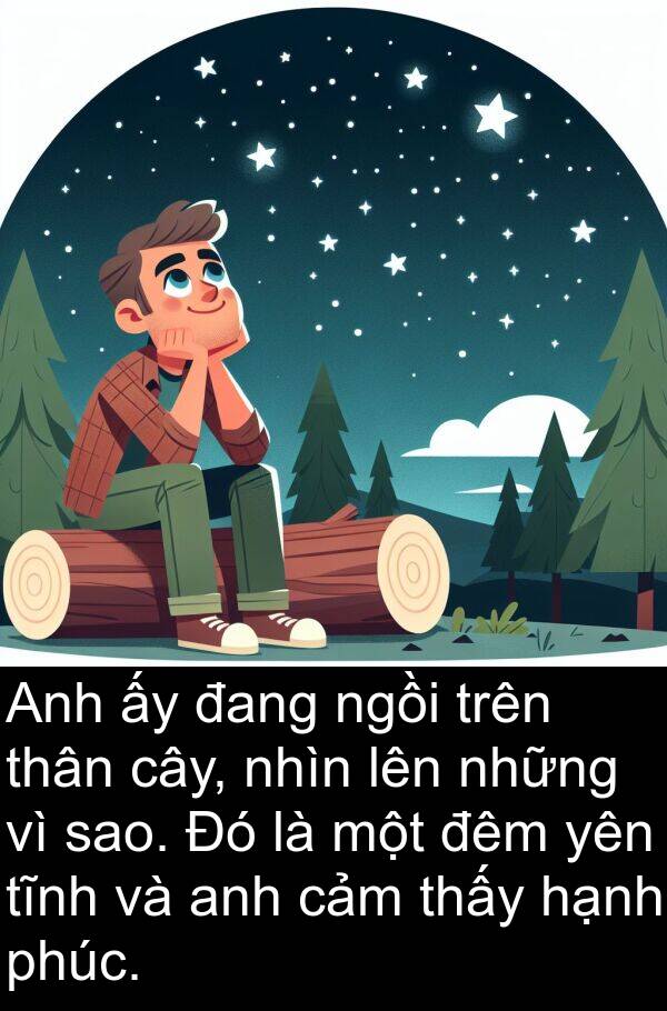 ngồi: Anh ấy đang ngồi trên thân cây, nhìn lên những vì sao. Đó là một đêm yên tĩnh và anh cảm thấy hạnh phúc.