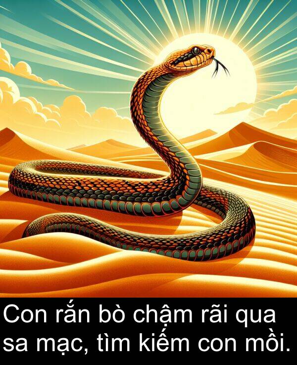 con: Con rắn bò chậm rãi qua sa mạc, tìm kiếm con mồi.