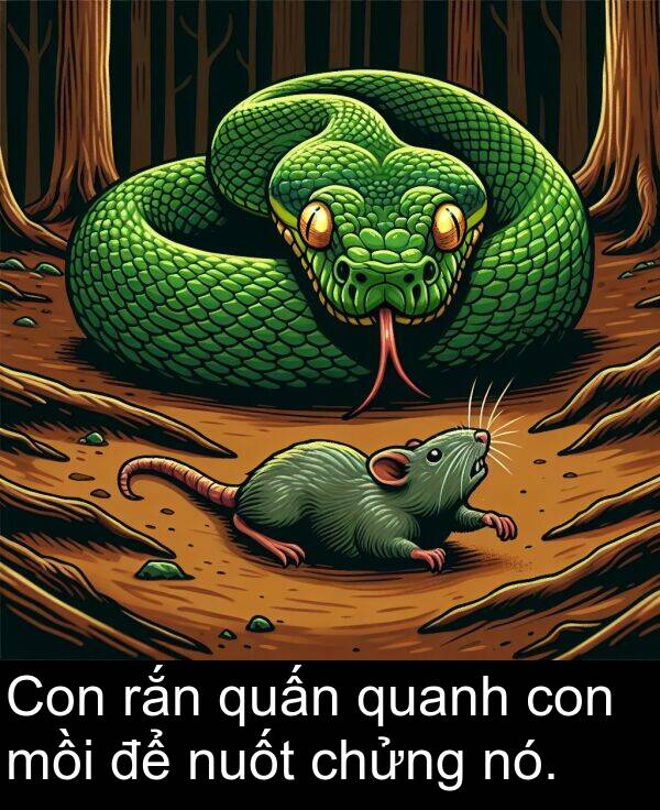 con: Con rắn quấn quanh con mồi để nuốt chửng nó.