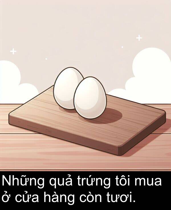 còn: Những quả trứng tôi mua ở cửa hàng còn tươi.