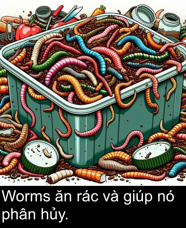 phân: Worms ăn rác và giúp nó phân hủy.