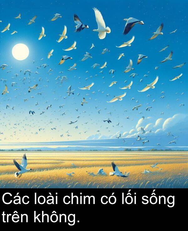 lối: Các loài chim có lối sống trên không.