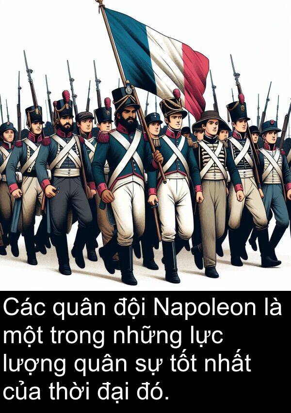 lượng: Các quân đội Napoleon là một trong những lực lượng quân sự tốt nhất của thời đại đó.