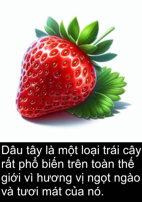 mát: Dâu tây là một loại trái cây rất phổ biến trên toàn thế giới vì hương vị ngọt ngào và tươi mát của nó.