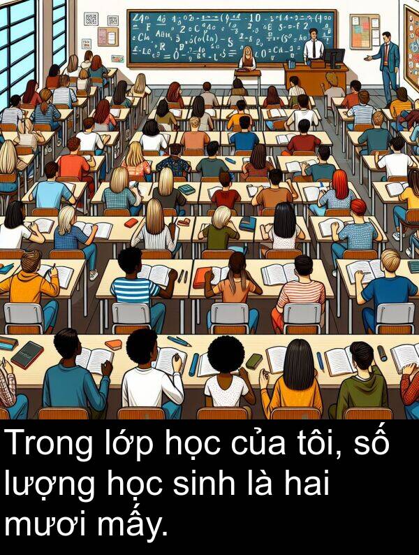 lớp: Trong lớp học của tôi, số lượng học sinh là hai mươi mấy.