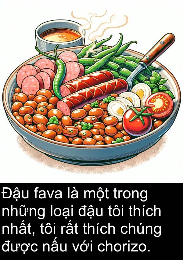 chorizo: Đậu fava là một trong những loại đậu tôi thích nhất, tôi rất thích chúng được nấu với chorizo.