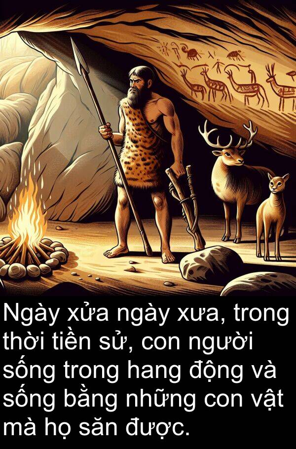 xửa: Ngày xửa ngày xưa, trong thời tiền sử, con người sống trong hang động và sống bằng những con vật mà họ săn được.