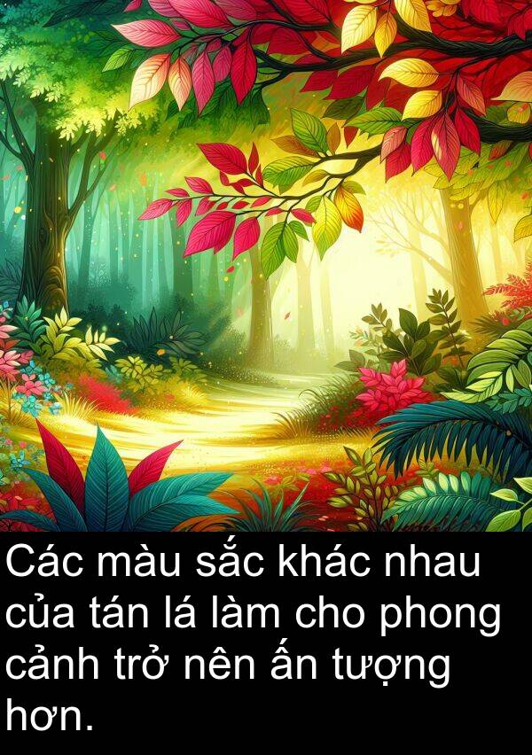 trở: Các màu sắc khác nhau của tán lá làm cho phong cảnh trở nên ấn tượng hơn.