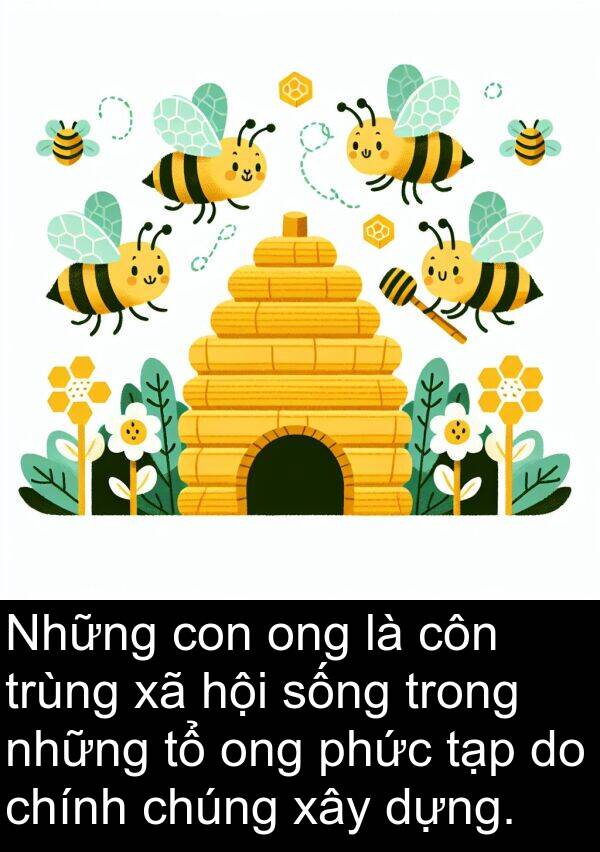 trùng: Những con ong là côn trùng xã hội sống trong những tổ ong phức tạp do chính chúng xây dựng.