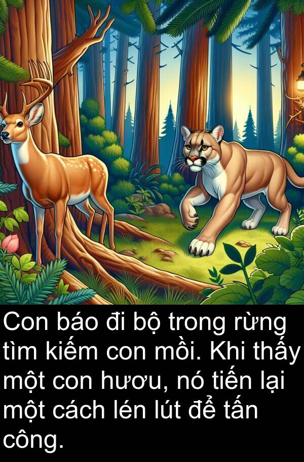 lén: Con báo đi bộ trong rừng tìm kiếm con mồi. Khi thấy một con hươu, nó tiến lại một cách lén lút để tấn công.