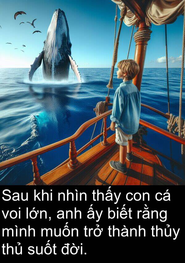 thủy: Sau khi nhìn thấy con cá voi lớn, anh ấy biết rằng mình muốn trở thành thủy thủ suốt đời.