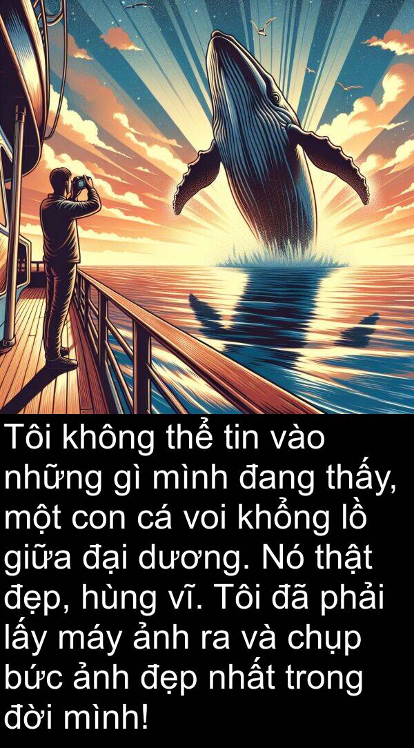 khổng: Tôi không thể tin vào những gì mình đang thấy, một con cá voi khổng lồ giữa đại dương. Nó thật đẹp, hùng vĩ. Tôi đã phải lấy máy ảnh ra và chụp bức ảnh đẹp nhất trong đời mình!