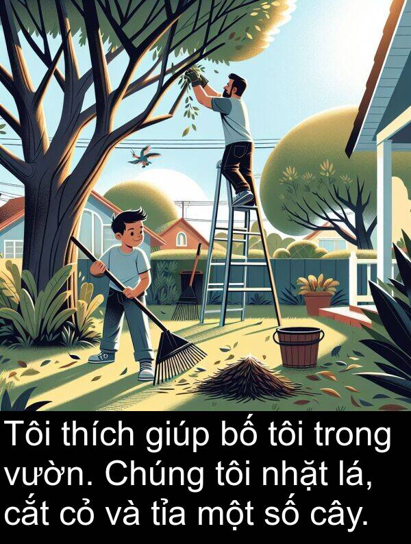 nhặt: Tôi thích giúp bố tôi trong vườn. Chúng tôi nhặt lá, cắt cỏ và tỉa một số cây.