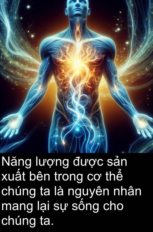 ta: Năng lượng được sản xuất bên trong cơ thể chúng ta là nguyên nhân mang lại sự sống cho chúng ta.