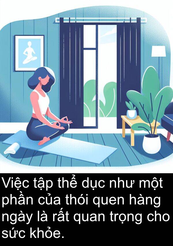 thói: Việc tập thể dục như một phần của thói quen hàng ngày là rất quan trọng cho sức khỏe.