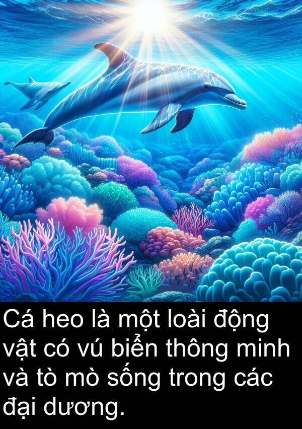 thông: Cá heo là một loài động vật có vú biển thông minh và tò mò sống trong các đại dương.