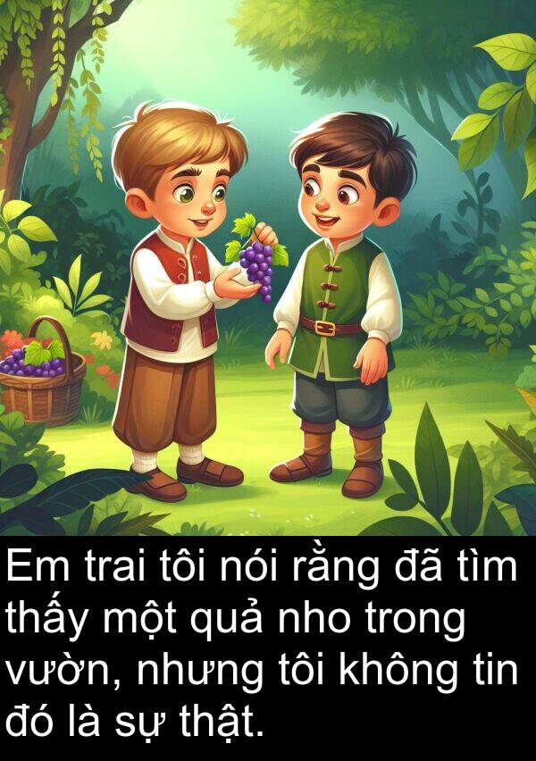 nho: Em trai tôi nói rằng đã tìm thấy một quả nho trong vườn, nhưng tôi không tin đó là sự thật.