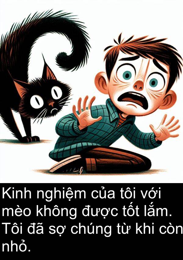 lắm: Kinh nghiệm của tôi với mèo không được tốt lắm. Tôi đã sợ chúng từ khi còn nhỏ.