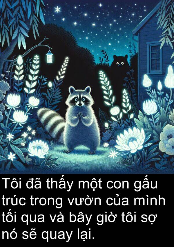 trúc: Tôi đã thấy một con gấu trúc trong vườn của mình tối qua và bây giờ tôi sợ nó sẽ quay lại.