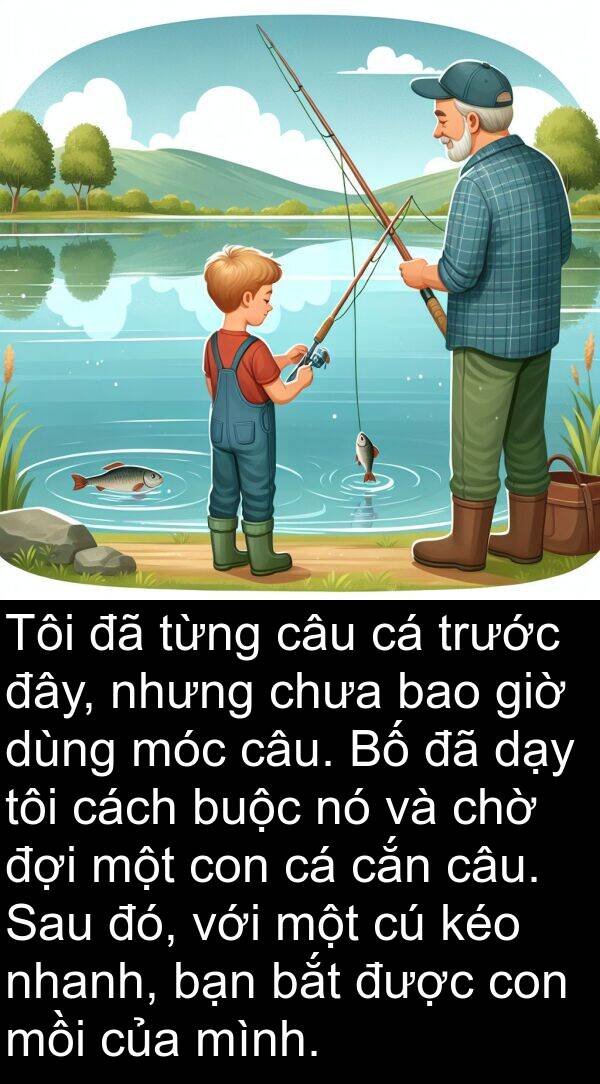 chưa: Tôi đã từng câu cá trước đây, nhưng chưa bao giờ dùng móc câu. Bố đã dạy tôi cách buộc nó và chờ đợi một con cá cắn câu. Sau đó, với một cú kéo nhanh, bạn bắt được con mồi của mình.