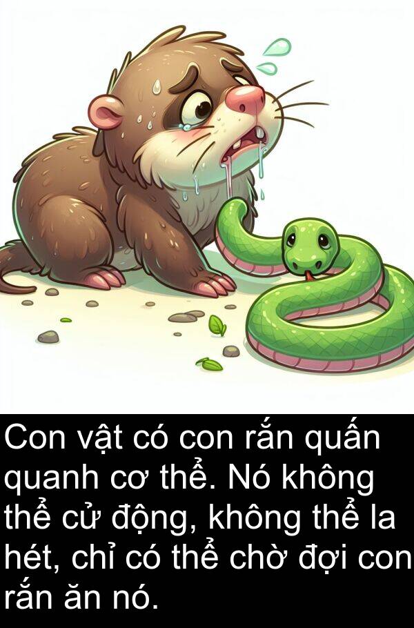 chờ: Con vật có con rắn quấn quanh cơ thể. Nó không thể cử động, không thể la hét, chỉ có thể chờ đợi con rắn ăn nó.