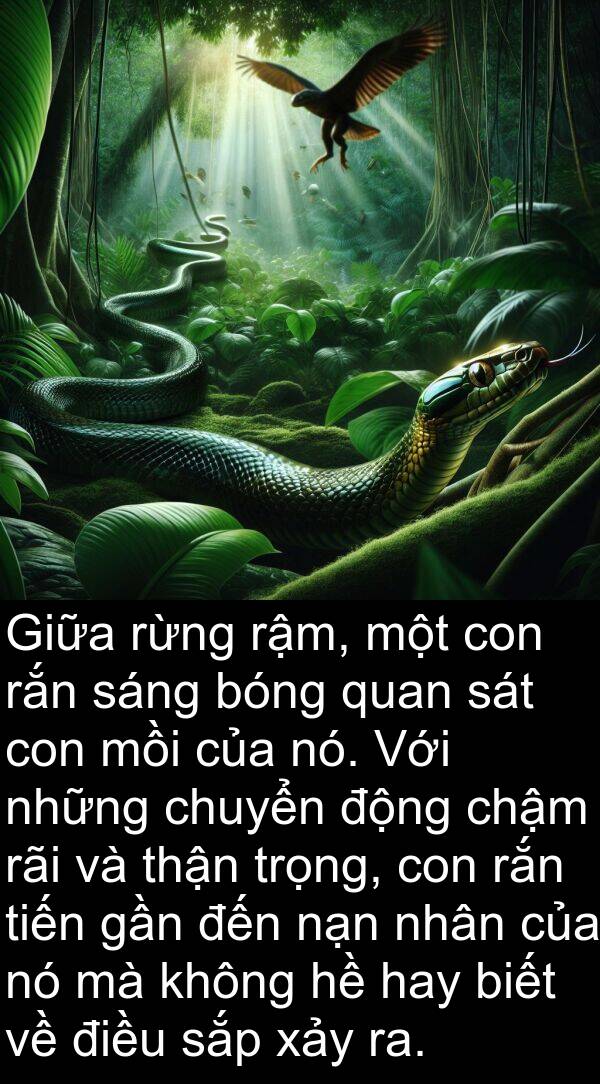 mồi: Giữa rừng rậm, một con rắn sáng bóng quan sát con mồi của nó. Với những chuyển động chậm rãi và thận trọng, con rắn tiến gần đến nạn nhân của nó mà không hề hay biết về điều sắp xảy ra.