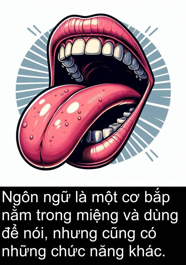 ngữ: Ngôn ngữ là một cơ bắp nằm trong miệng và dùng để nói, nhưng cũng có những chức năng khác.