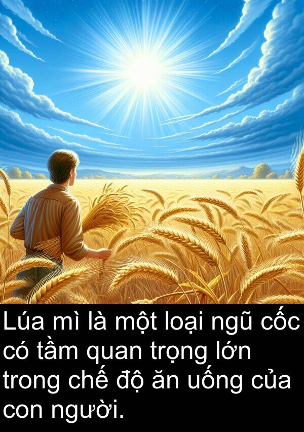 cốc: Lúa mì là một loại ngũ cốc có tầm quan trọng lớn trong chế độ ăn uống của con người.