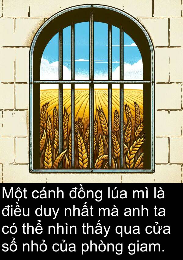 nhỏ: Một cánh đồng lúa mì là điều duy nhất mà anh ta có thể nhìn thấy qua cửa sổ nhỏ của phòng giam.