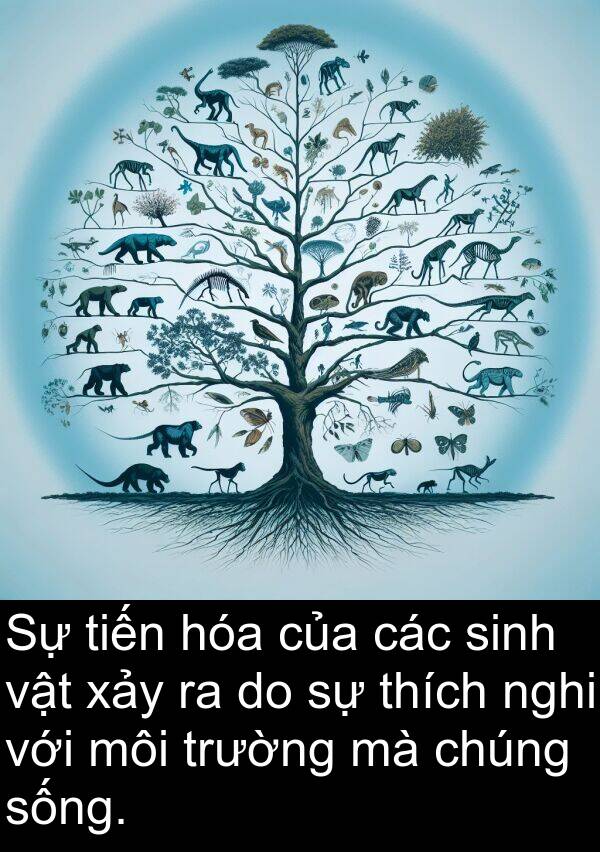 xảy: Sự tiến hóa của các sinh vật xảy ra do sự thích nghi với môi trường mà chúng sống.