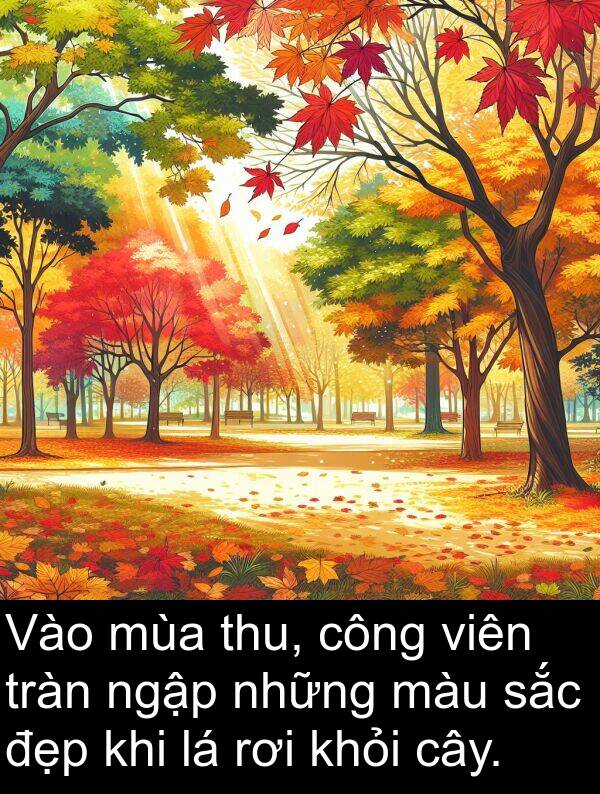 thu: Vào mùa thu, công viên tràn ngập những màu sắc đẹp khi lá rơi khỏi cây.