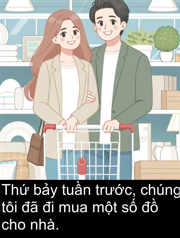 trước: Thứ bảy tuần trước, chúng tôi đã đi mua một số đồ cho nhà.