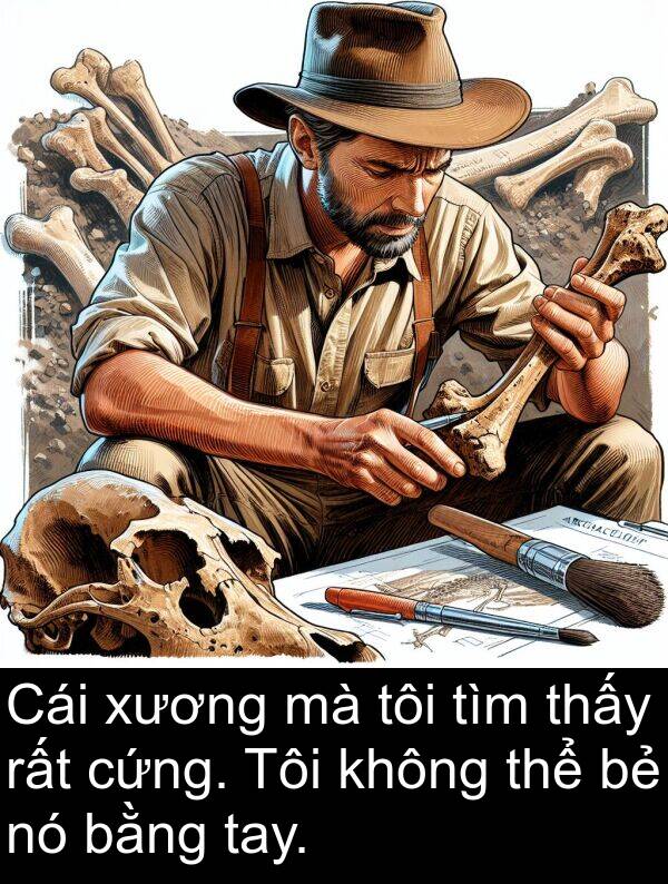 xương: Cái xương mà tôi tìm thấy rất cứng. Tôi không thể bẻ nó bằng tay.