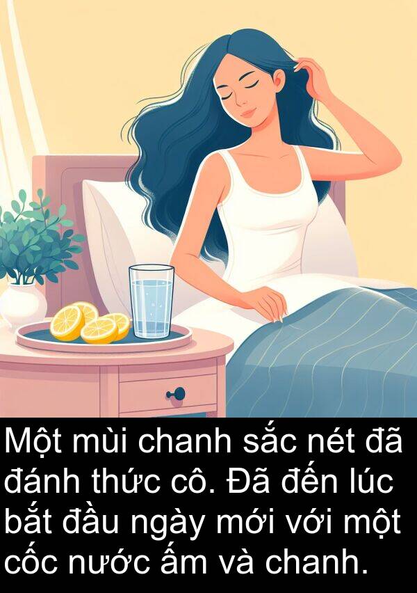 cô: Một mùi chanh sắc nét đã đánh thức cô. Đã đến lúc bắt đầu ngày mới với một cốc nước ấm và chanh.