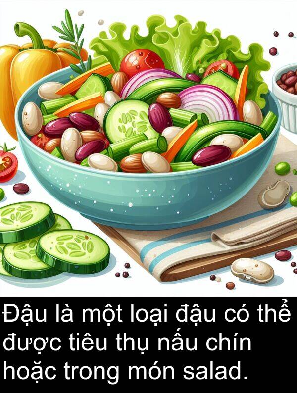 salad: Đậu là một loại đậu có thể được tiêu thụ nấu chín hoặc trong món salad.