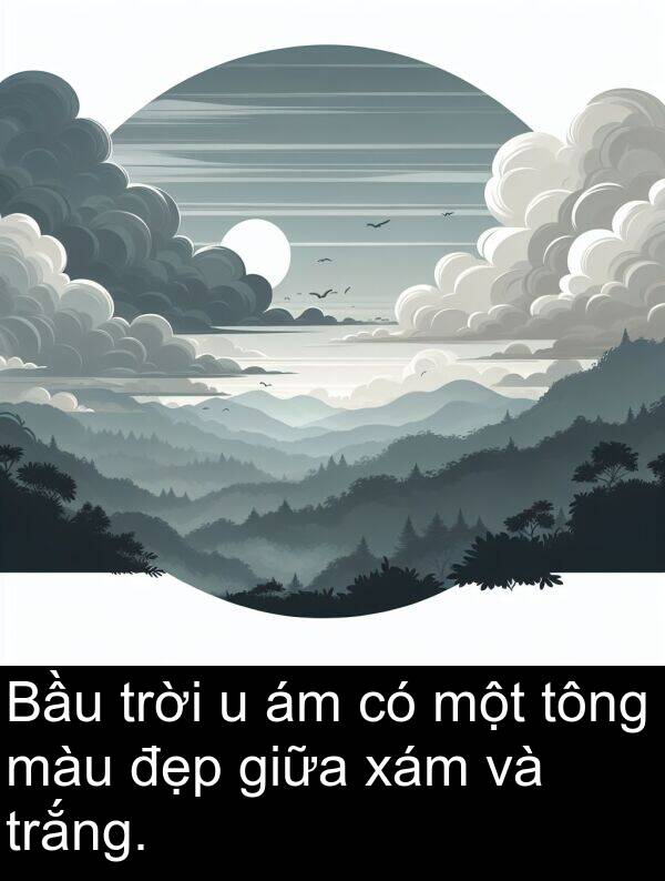 trắng: Bầu trời u ám có một tông màu đẹp giữa xám và trắng.