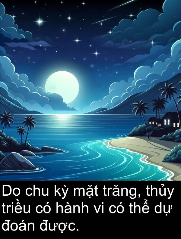 trăng: Do chu kỳ mặt trăng, thủy triều có hành vi có thể dự đoán được.