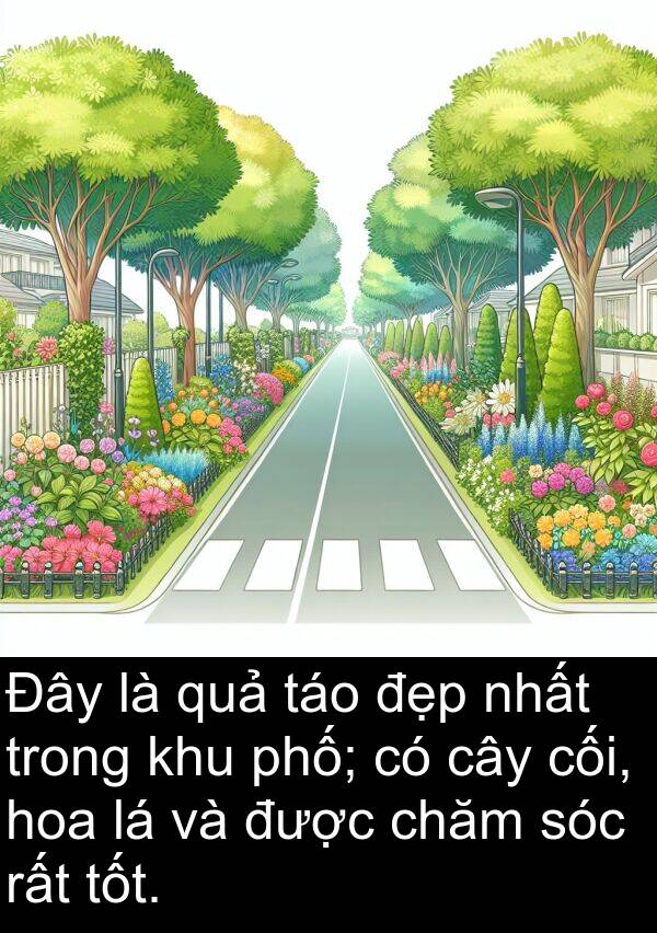 cối: Đây là quả táo đẹp nhất trong khu phố; có cây cối, hoa lá và được chăm sóc rất tốt.