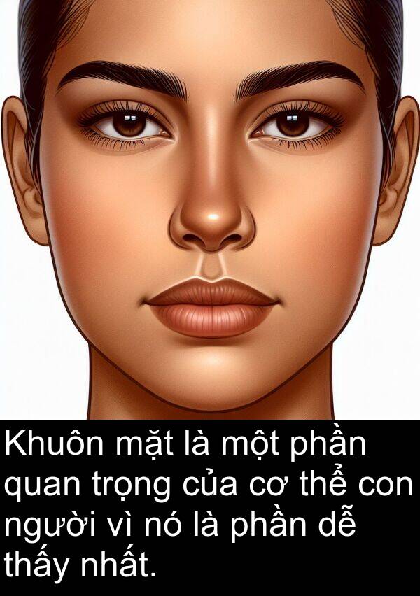 phần: Khuôn mặt là một phần quan trọng của cơ thể con người vì nó là phần dễ thấy nhất.