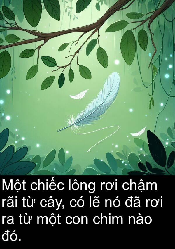 nào: Một chiếc lông rơi chậm rãi từ cây, có lẽ nó đã rơi ra từ một con chim nào đó.