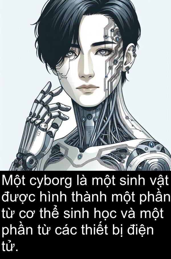 phần: Một cyborg là một sinh vật được hình thành một phần từ cơ thể sinh học và một phần từ các thiết bị điện tử.